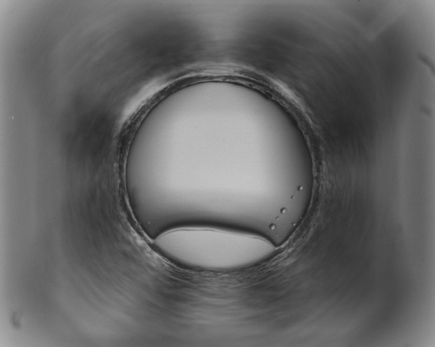 X0000102461456200808081217