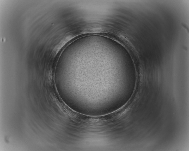 X0000102461457200808081217