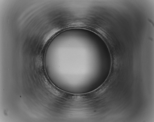 X0000102461458200808081217