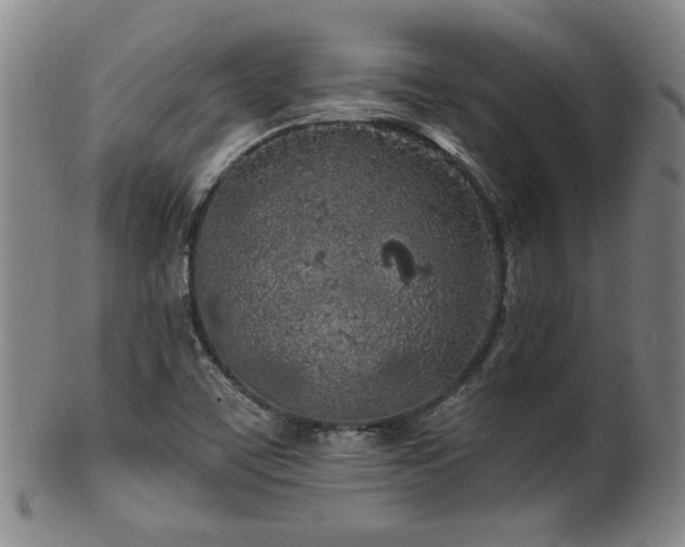 X0000102461459200808081217