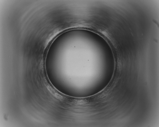 X0000102461460200808081217
