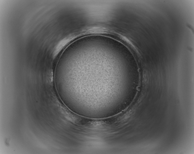 X0000102461461200808081217