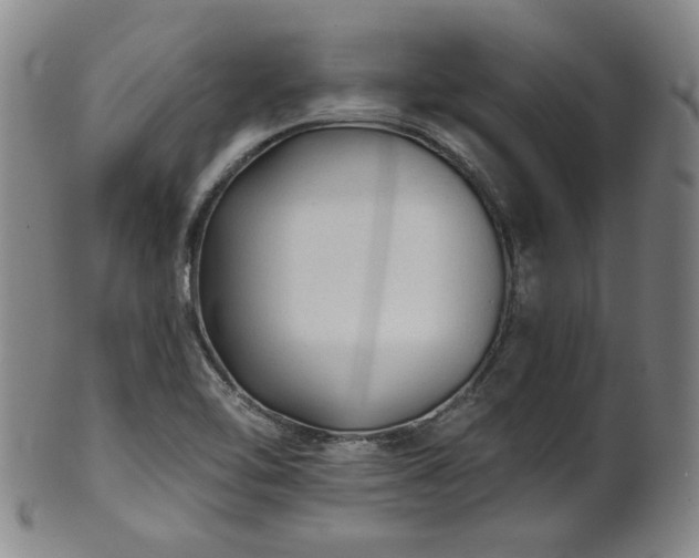 X0000102461462200808081217