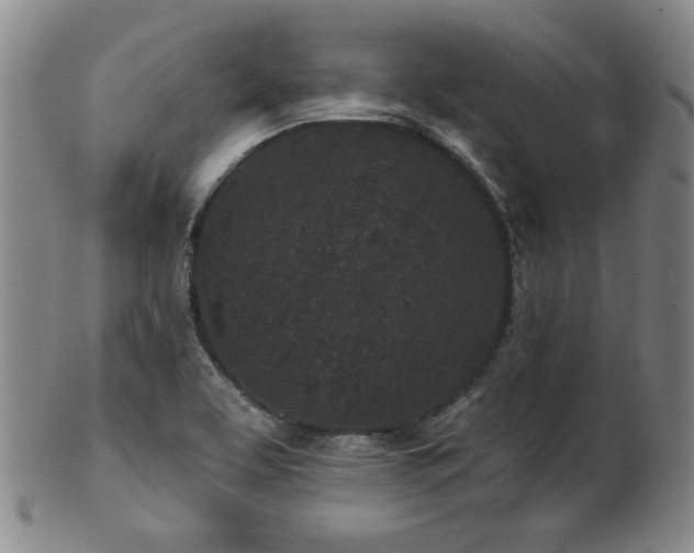 X0000102461463200808081217