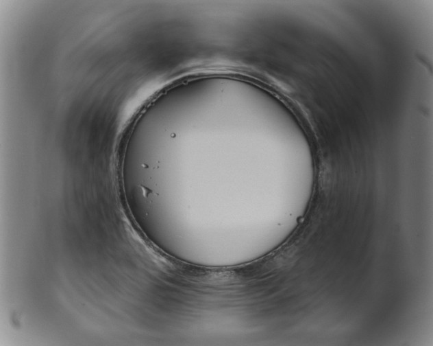 X0000102461464200808081217