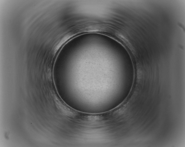 X0000102461465200808081217