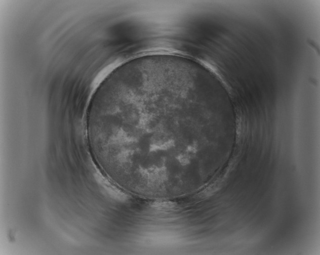 X0000102461466200808081217