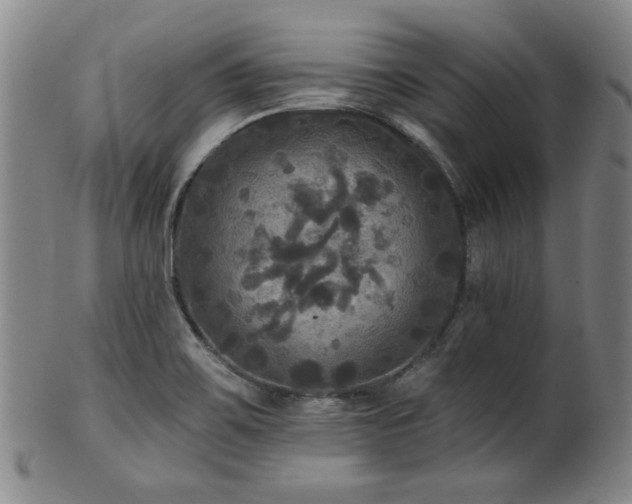 X0000102461467200808081217