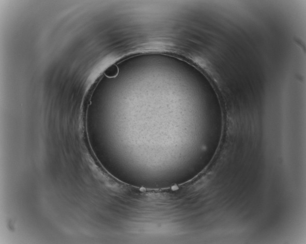 X0000102461469200808081217