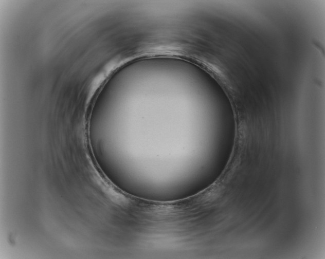 X0000102461470200808081217