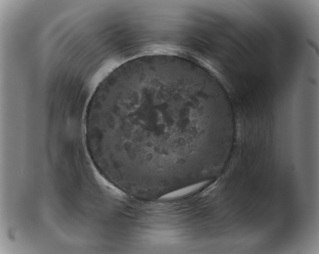 X0000102461471200808081217