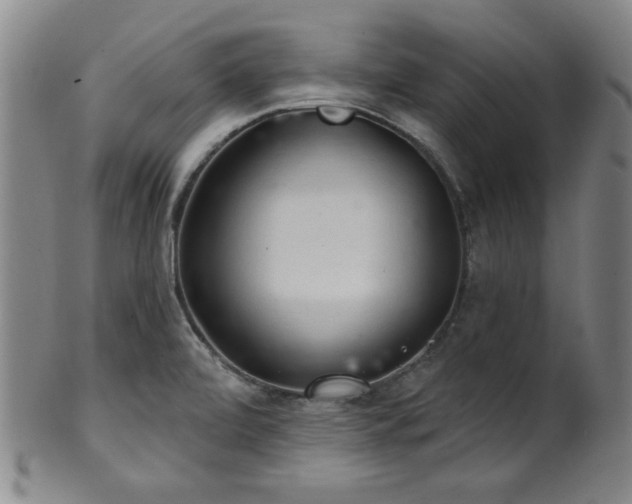 X0000102461472200808081217