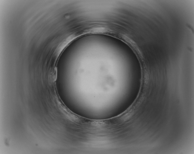X0000102461473200808081217