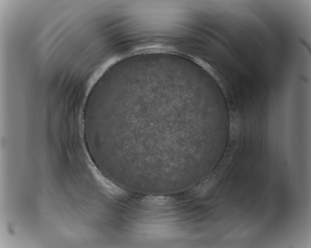 X0000102461474200808081217