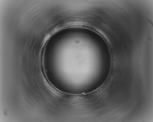 X0000102461475200808081217