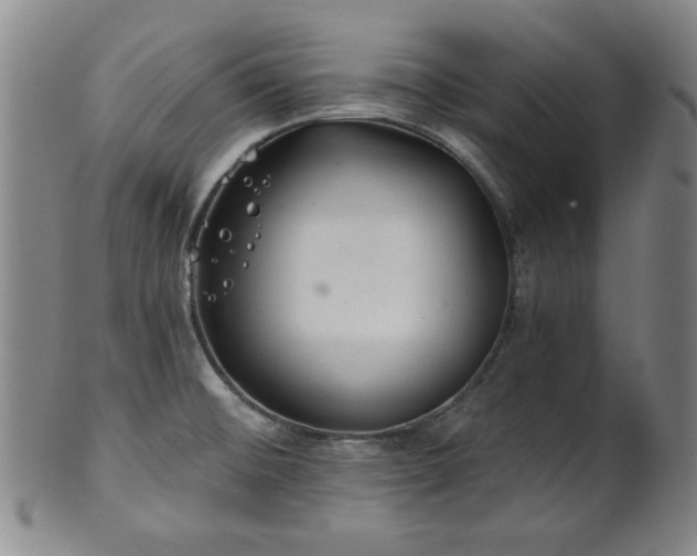 X0000102461476200808081216