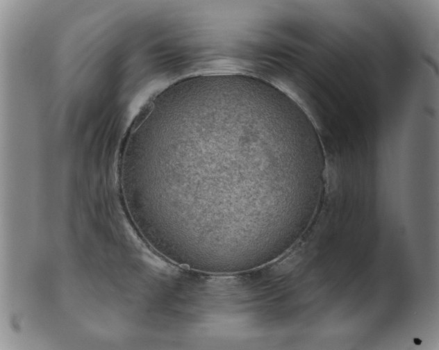 X0000102461477200808081216