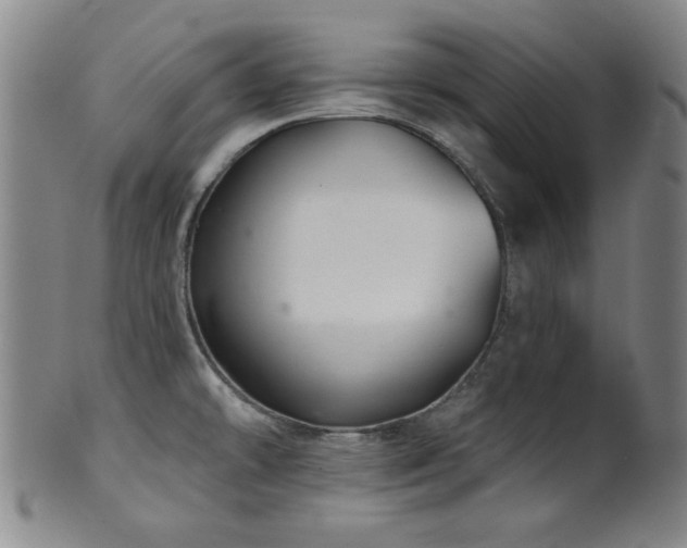 X0000102461478200808081216