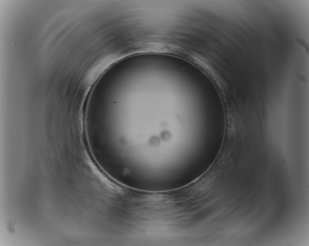 X0000102461479200808081216