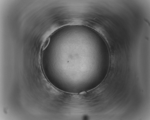 X0000102461480200808081216