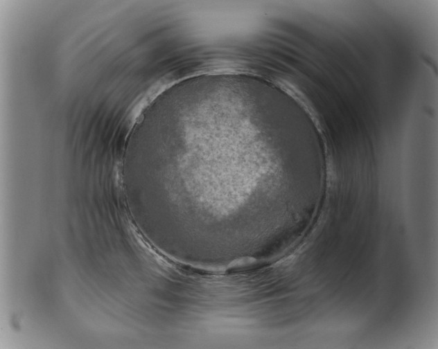 X0000102461481200808081216