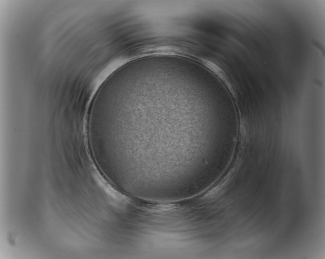 X0000102461482200808081216