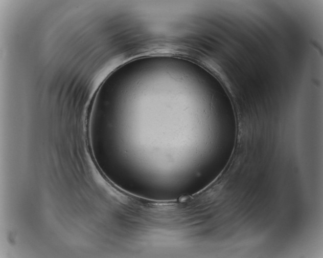 X0000102461483200808081216