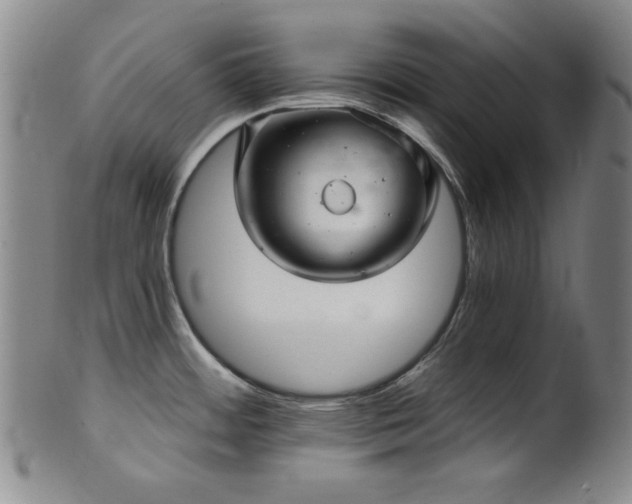 X0000102461484200808081216