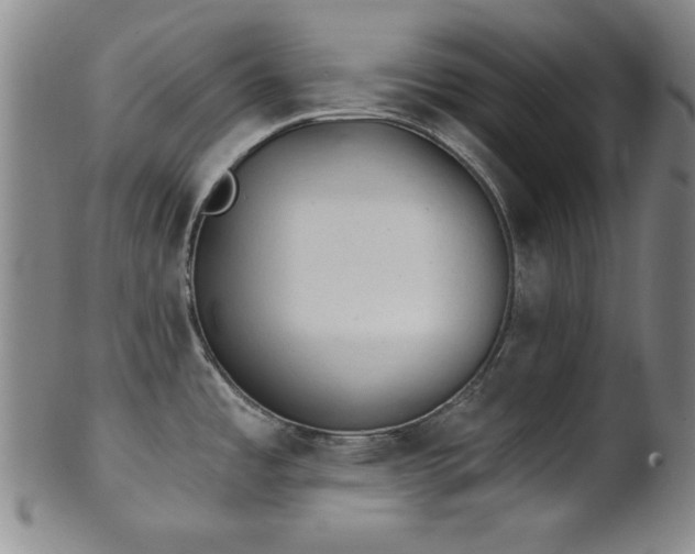 X0000102461485200808081216