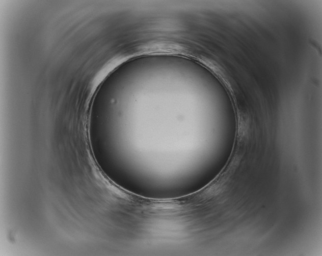 X0000102461486200808081216