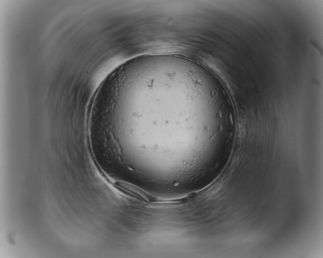 X0000102461487200808081216