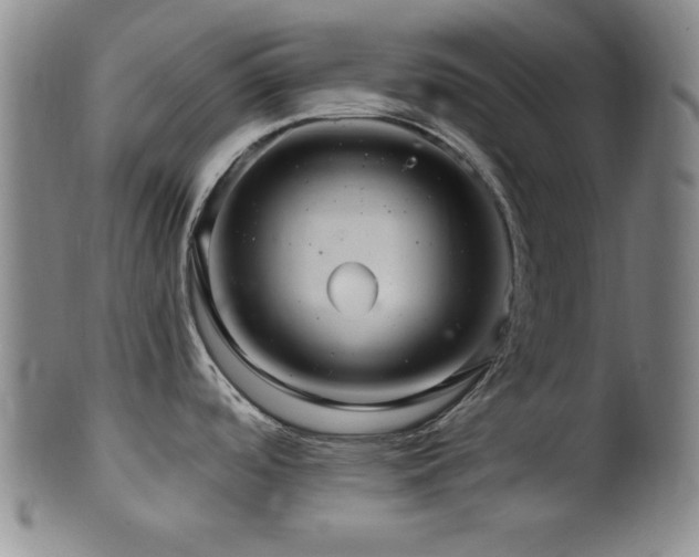 X0000102461488200808081216