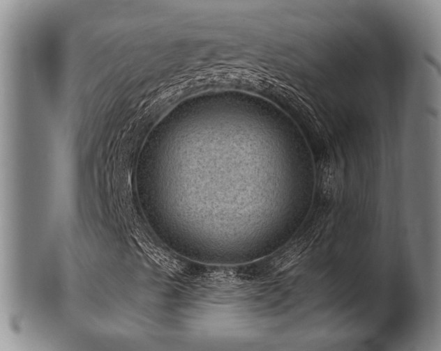 X0000102461489200808081216