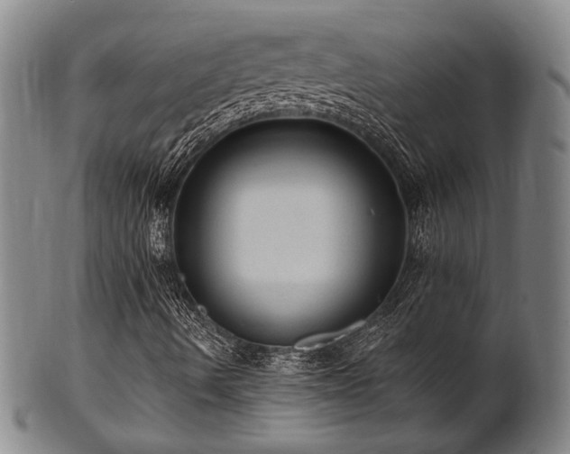 X0000102461490200808081216