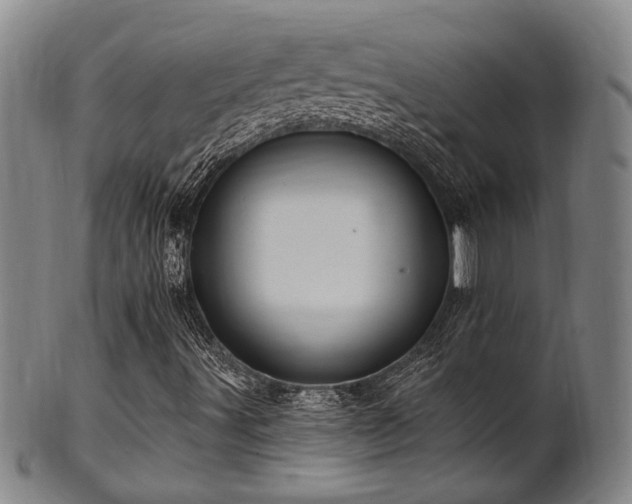 X0000102461491200808081216
