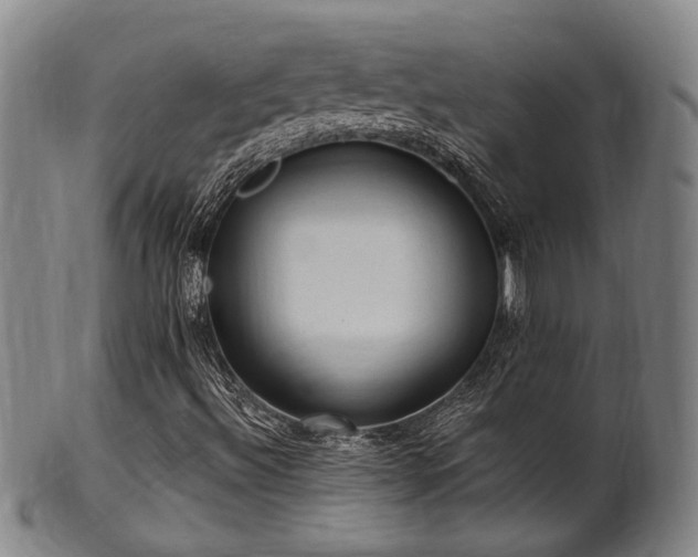 X0000102461492200808081216