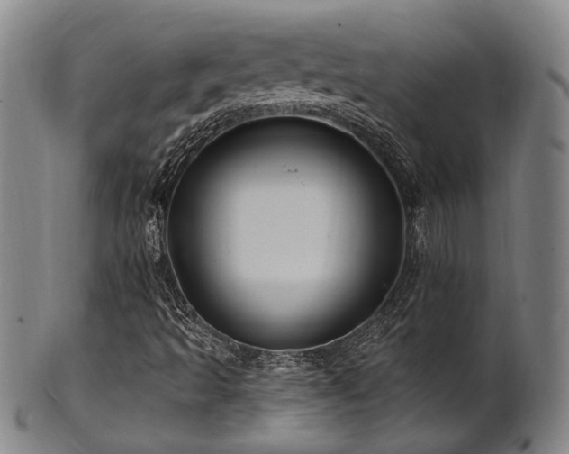 X0000102461493200808081216
