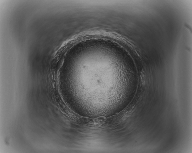 X0000102461494200808081216