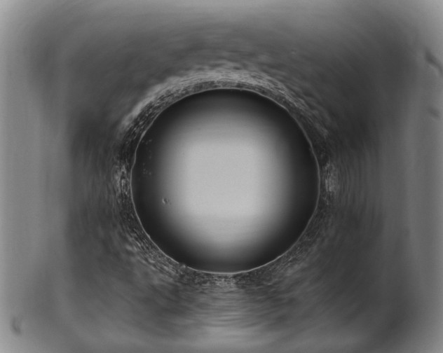 X0000102461495200808081216