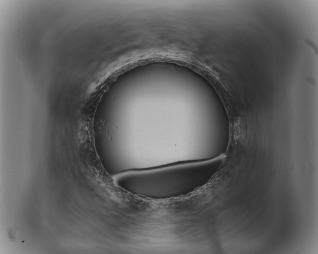 X0000102461496200808081216