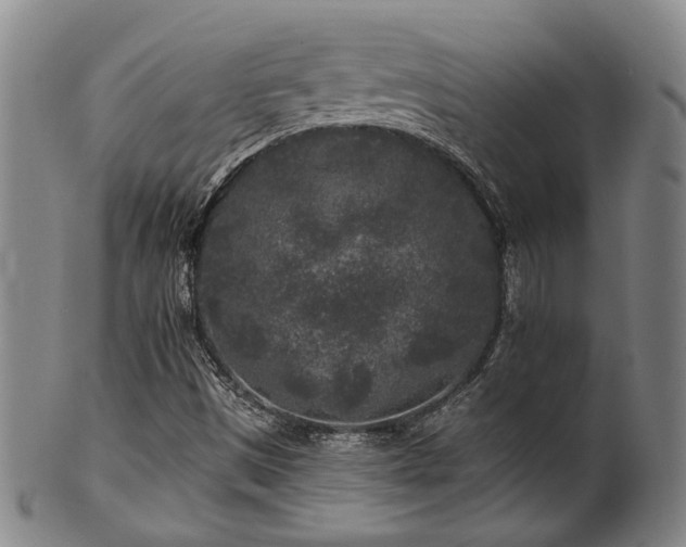 X0000102461497200808081216