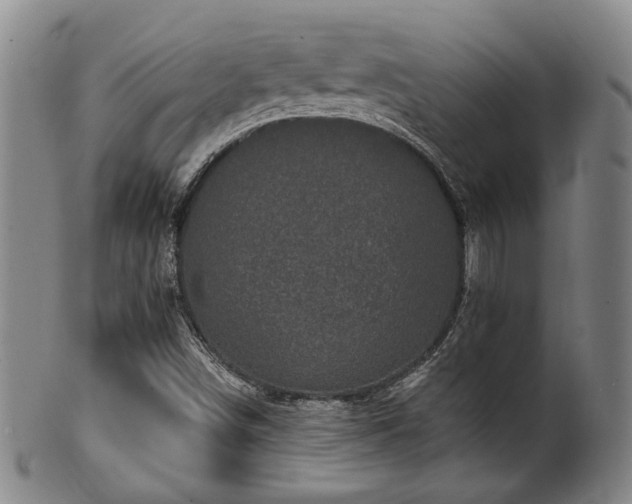 X0000102461498200808081216