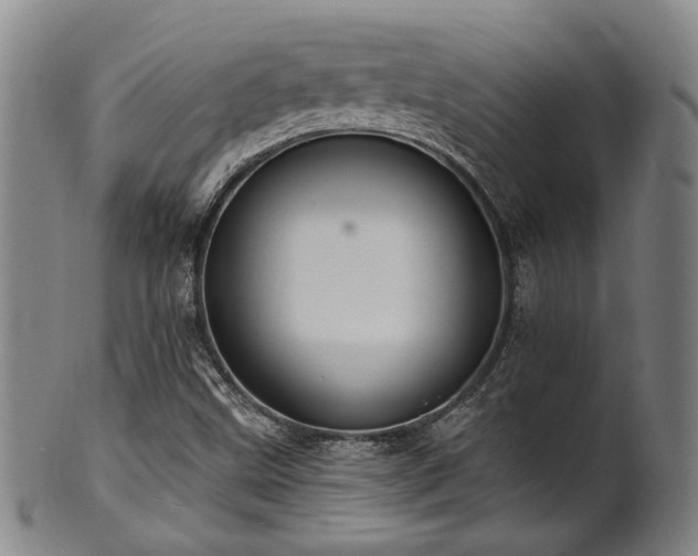X0000102461499200808081216