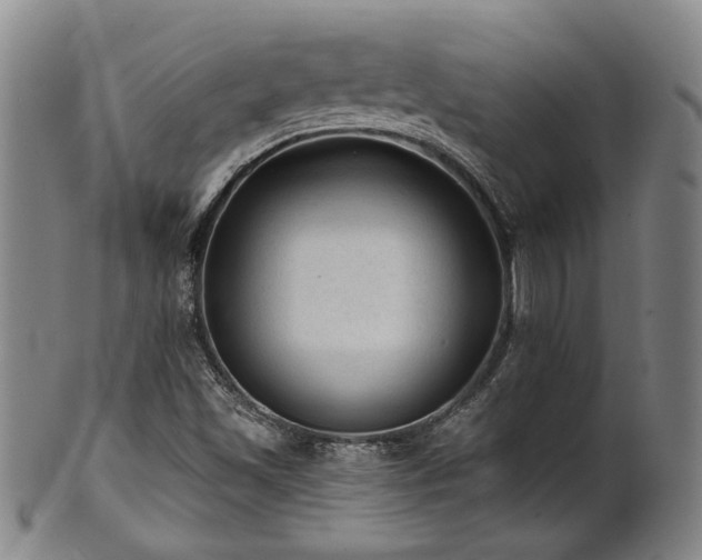 X0000102461501200808081216