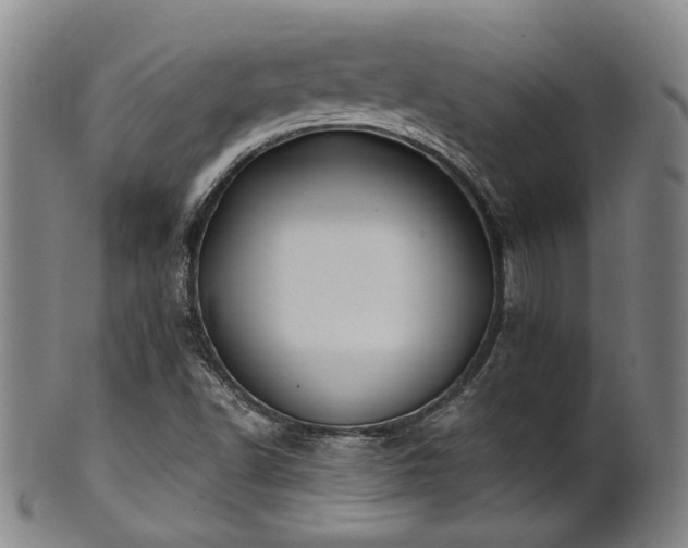 X0000102461502200808081216