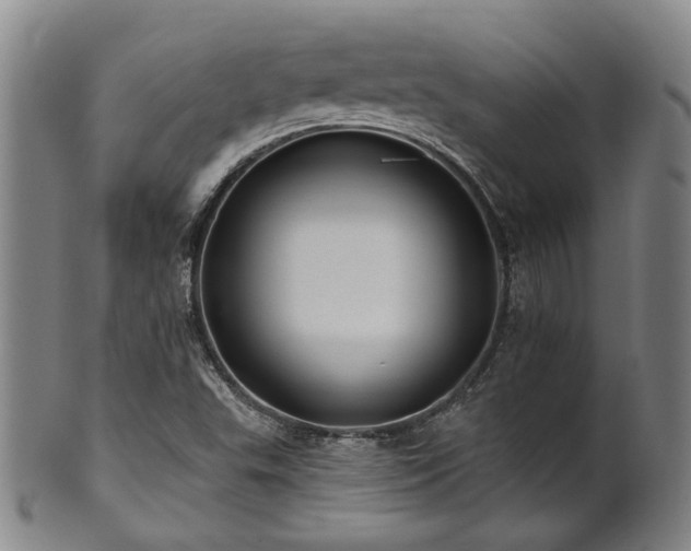 X0000102461503200808081216