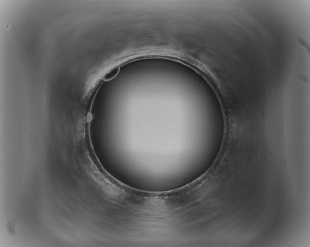 X0000102461504200808081216