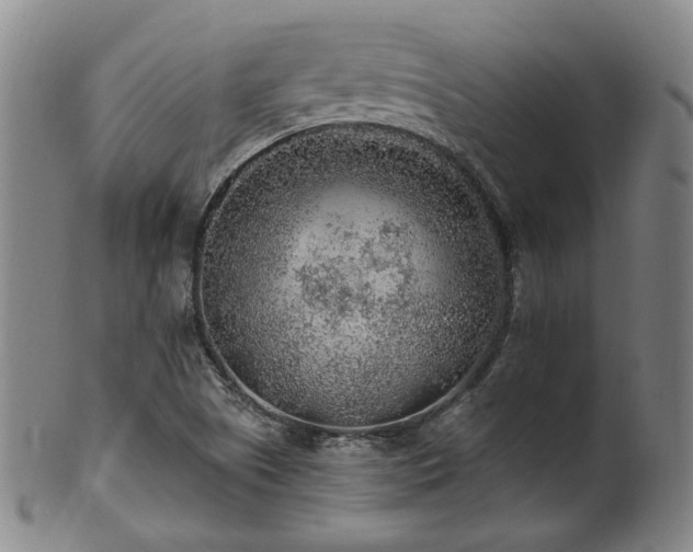 X0000102461505200808081216