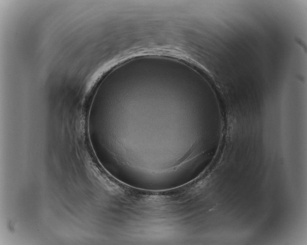 X0000102461506200808081216
