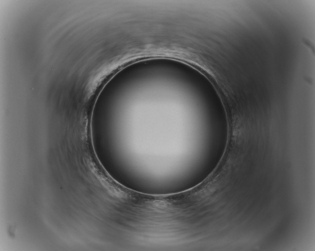 X0000102461507200808081216